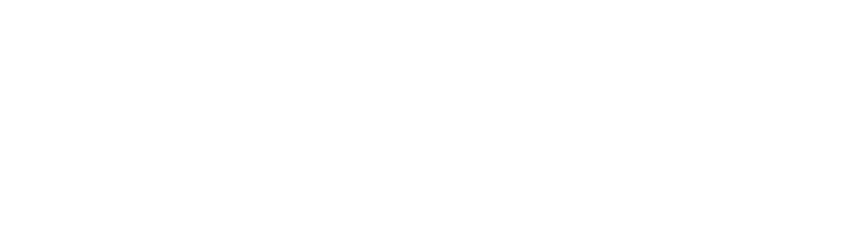 Programa de Acompanhamento